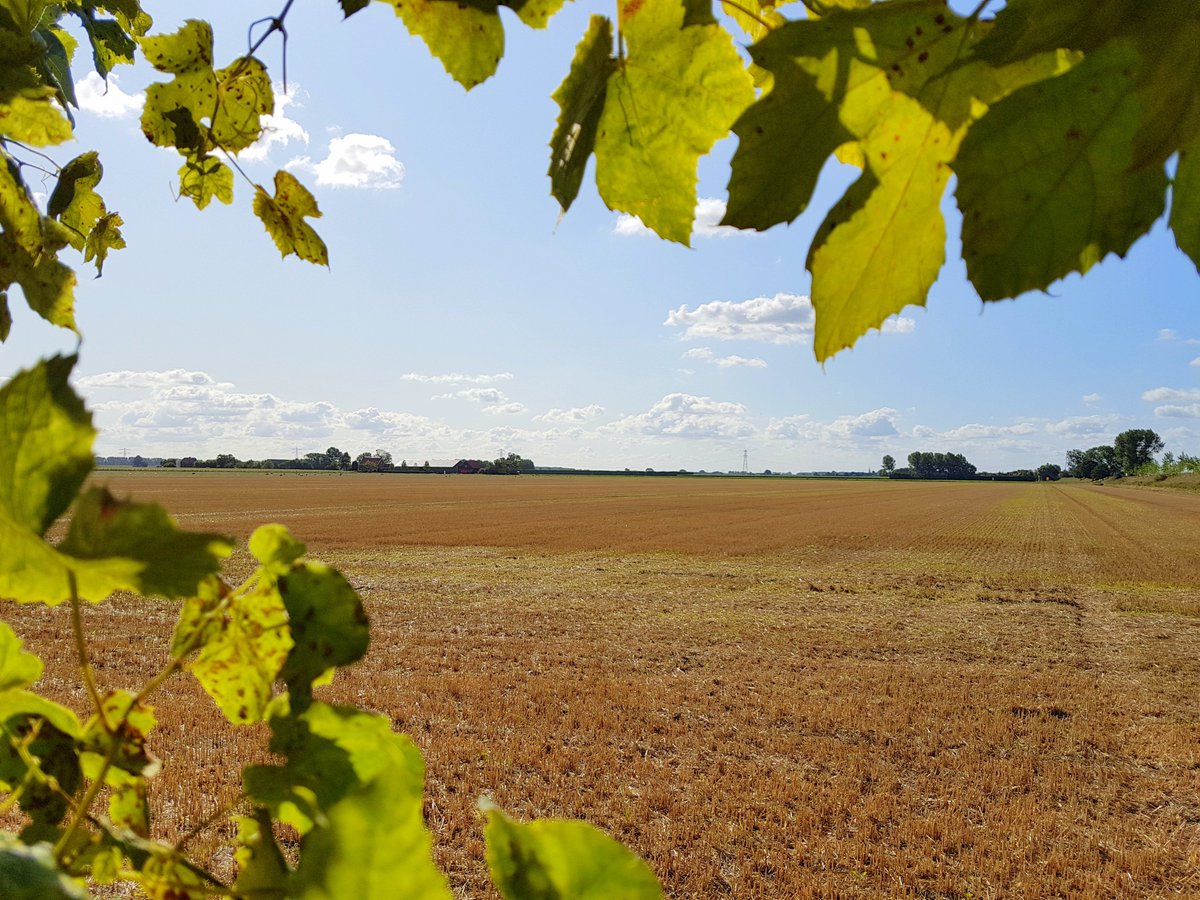 sanderdenooijer's tweet image. #Nieuw #NieuweKraaijertsedijk26 #Lewedorp #DeNooijerMakelaars

denooijer-makelaars.nl/woningaanbod/k…