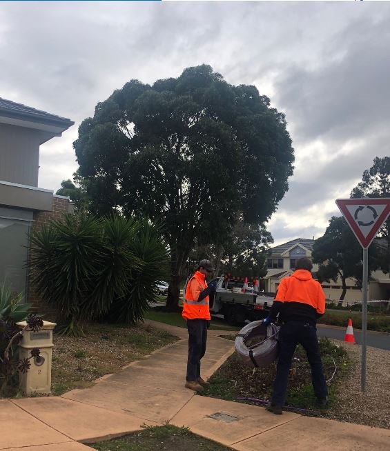 SanctuaryLakes1's tweet photo. During the month of August the irrigation team installed an additional kilometre of drip line to the garden beds on the Boulevard. 

#SanctuaryLakes #SanctuaryLakesResort #SanctuaryLakesResortServices #SLRS #PointCook #Melbourne #Sanctuary #Lakes #Irrigation #GardenBeds https://t.co/u9nWBk0TXy
