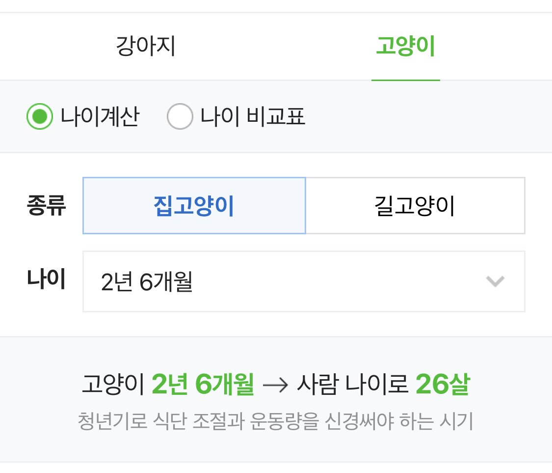 달리의 나날 tweet media