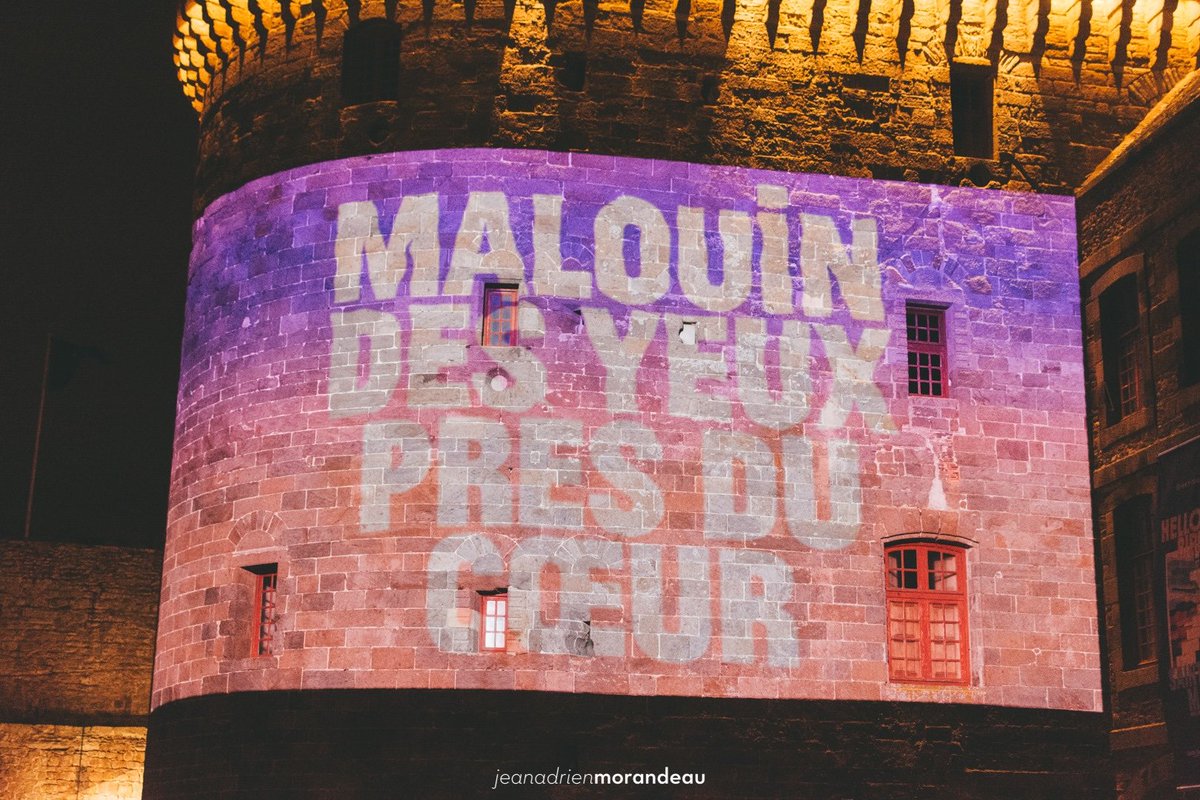 Hello Birds Festival tweet media