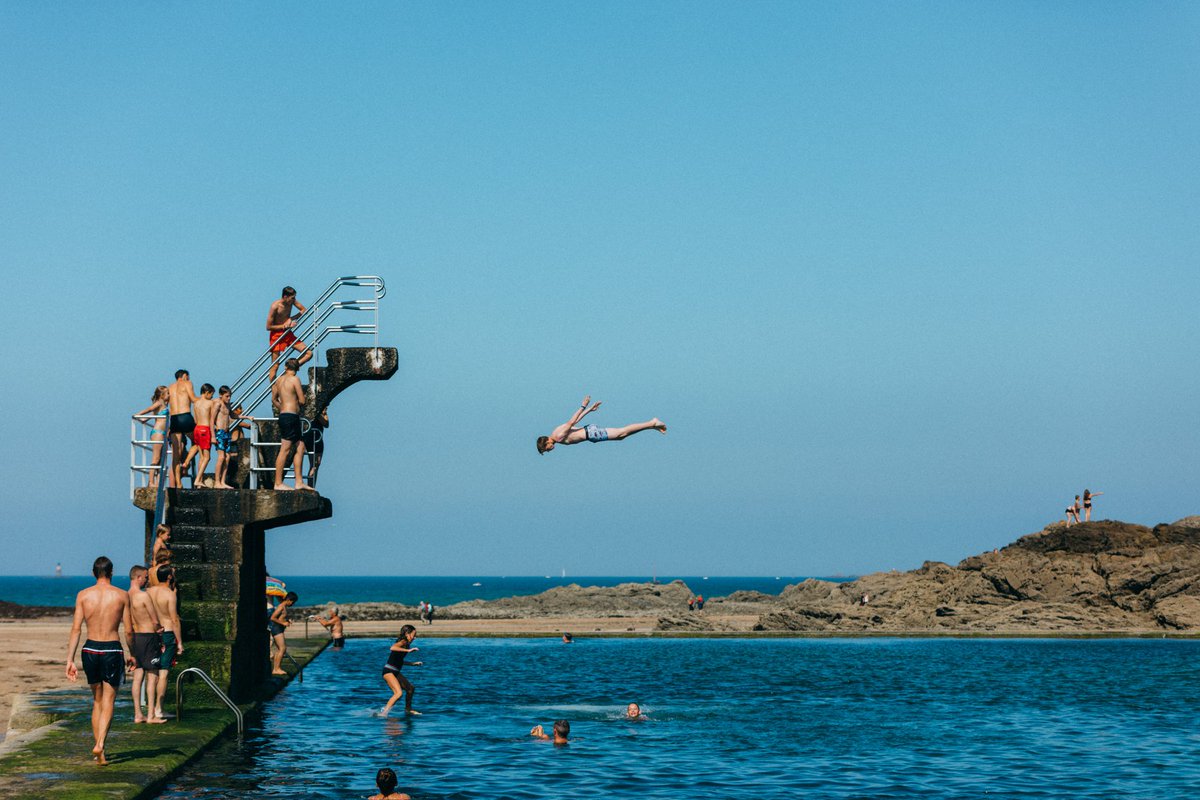 Hello Birds Festival tweet media