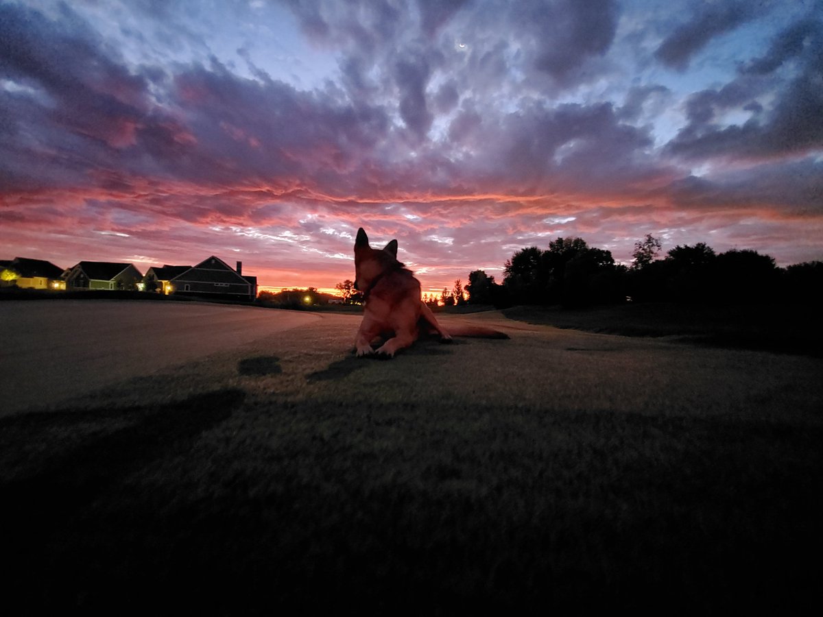ChathamAgronomy's tweet photo. Good morning to wrap up fall greens aerification! Couldn't have done it without the great staff this week! Mya looking back at the great job the past two days! https://t.co/mAem8HbOSK