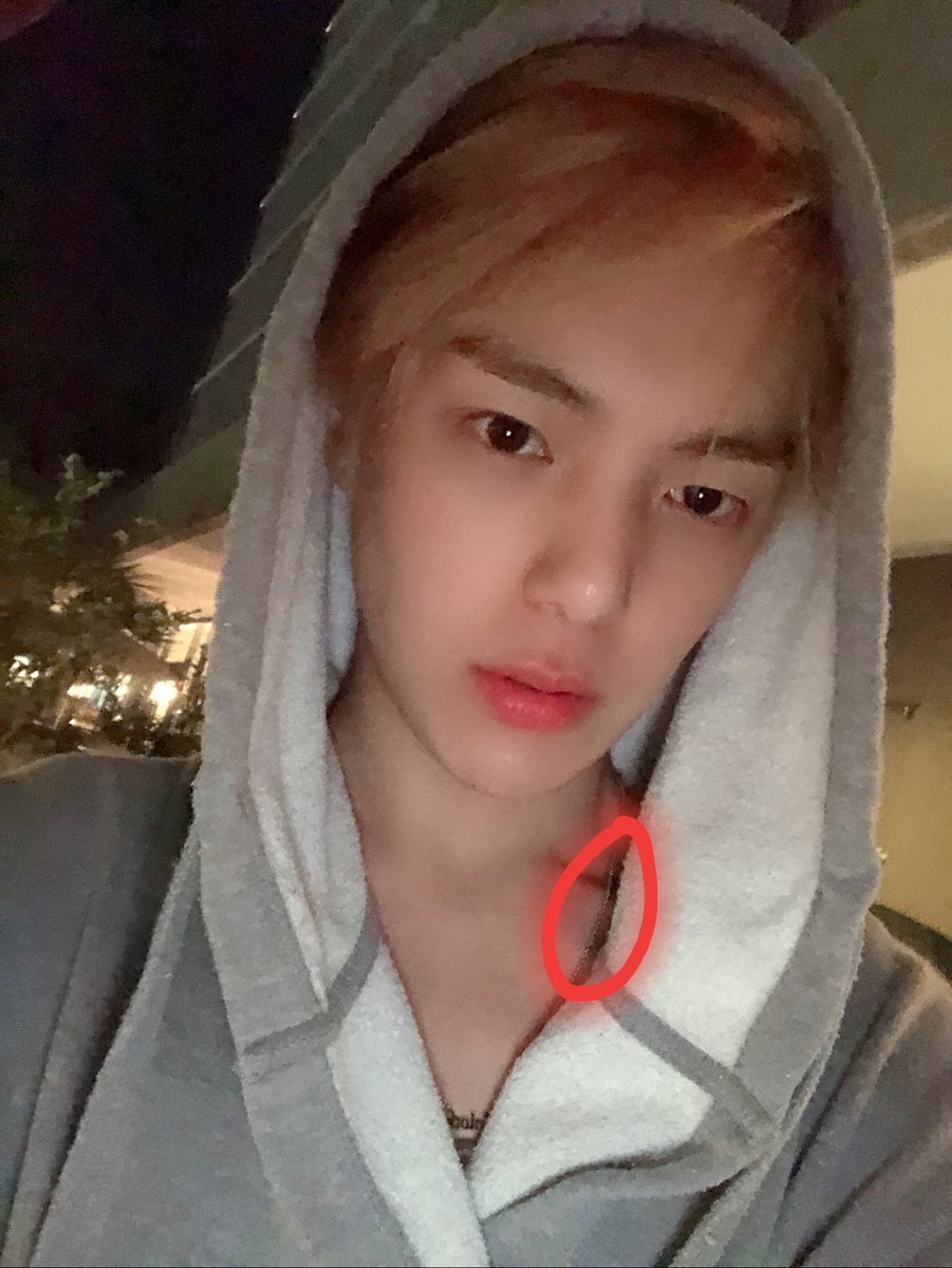 Minhyuk Japan En Twitter ミニョクが胸にタトゥー入れたって言ってる方がいますが よーく拡大して写真見て下さい ネックレスのチェーン見えませんか 몬스타엑스 Monsta X モネク 민혁 Minhyuk ミニョク