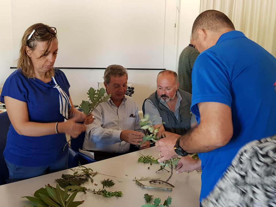 Infeas1's tweet photo. 💥💥 Prima giornata dedicata alla formazione. Inizia l'attività di analisi sensoriale delle foglie. ☘️🌿🍀🌱
#infeas #sardegnainfeas #educazioneambientale
#ambiente #informazione #educazione #rifiuti #acqua #sostenibilita #sardegna https://t.co/ydxzRDnBi2