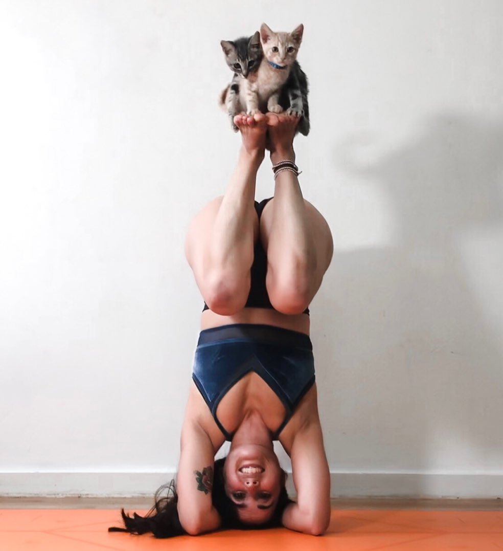 WoahYoga's tweet photo. Repost @natashaswinter
⠀
Follow➡@woahyoga 4 more pics &amp; flows🙏
#asanapractice #yoganewbie #yogawithfriends #yoga365 #yogaliving #yogamakesmehappy     #loveandalliscoming #yogainspo #yogaholic #onebreathatatime #yogavibes #feeltheyogahigh #headstand #yogatime #acroyoga https://t.co/6HLwazSGrt