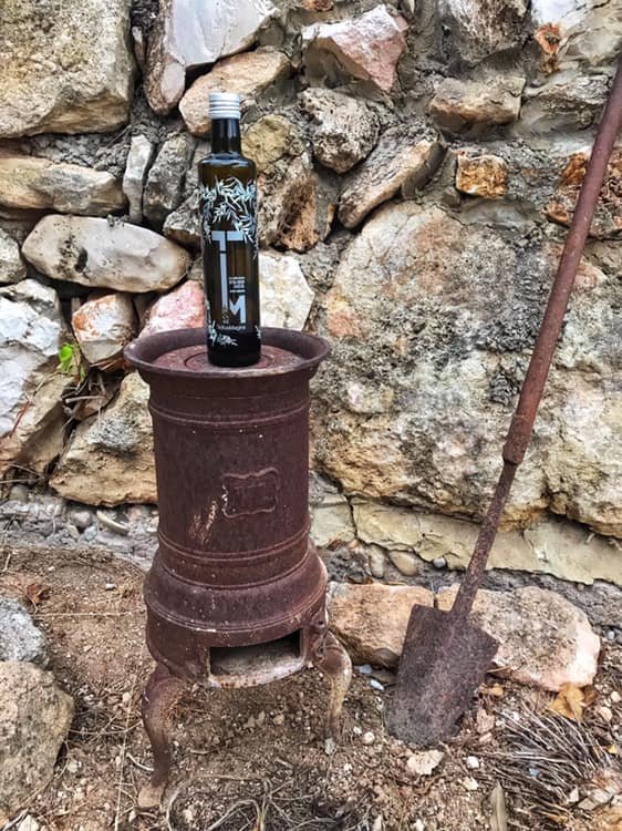 #Otono2019 tiempo de cosechas, caída de las hojas, días más cortos y amplia paleta de colores, particular y distintiva. 
#Naturaleza #Vida #Cultivo #Color #Labor #Campo #Arraigo #Familia #Temporada #Oliva #AOVE #AceiteOlivaVirgenExtra #Selección #Calidad #Producto #TellusMagna