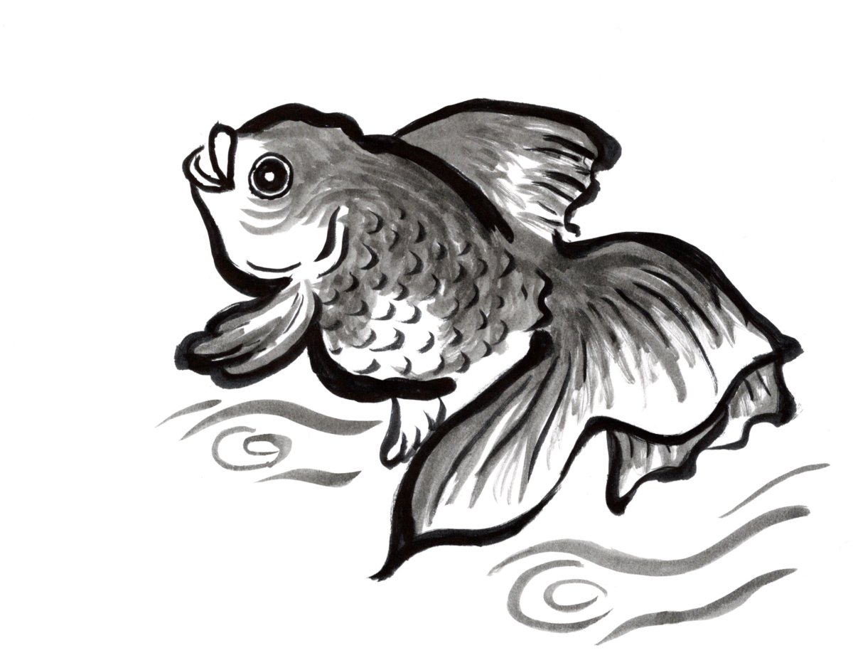 さとりん Ar Twitter すいすい金魚 金魚 墨 水墨画 筆ペン T Co C8plv2icdh