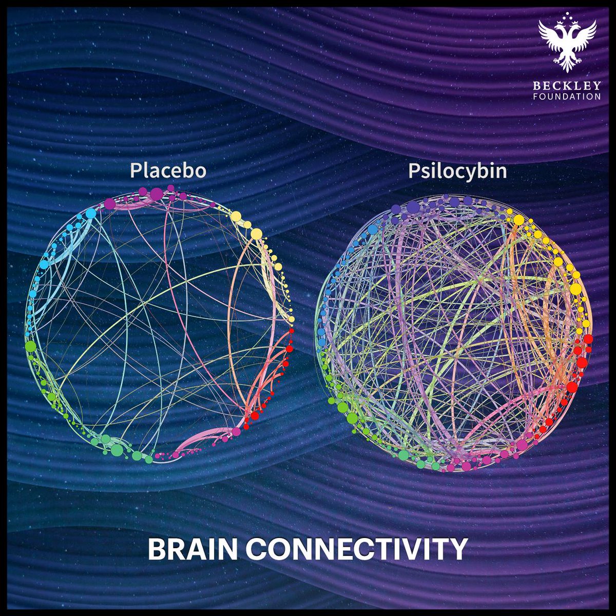 Beckley Foundation | Psychedelic Research tweet media
