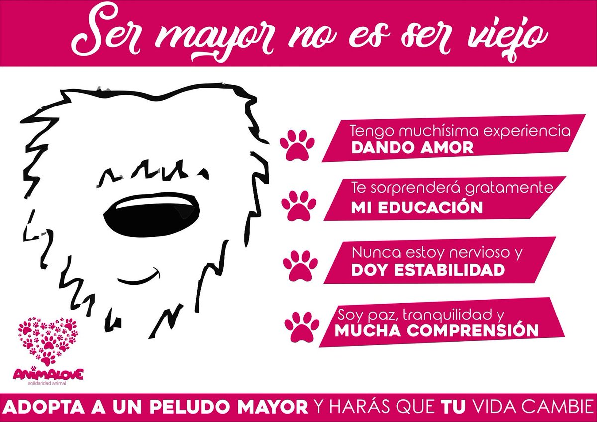 AnimaLoverApp's tweet photo. ¿Que piensas de la adopción de peluditos adultos? #animales #animalove #nocompresadopta #adopta #adopcionanimal #adoptarsalvavidas #adoptaperros #eligeadoptar #Granada #fegrapa #ceipvirgendelosdolores #purchil https://t.co/L0gkKzGC5y