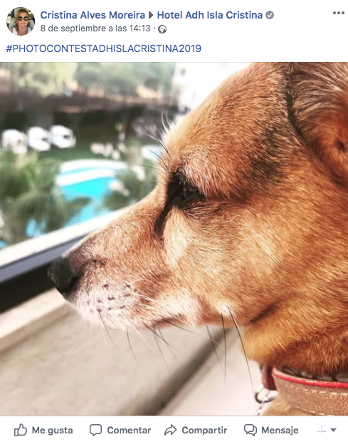 IslaCristinaEST's tweet photo. Ya tenemos los 3 finalistas del #concursofotográfico 😉

Ve a nuestros perfiles de instagram y facebook y vota a tu favorita:
https://t.co/8LvH3TBcfN
https://t.co/YYCzJEIvyO https://t.co/vYg9miuOvK