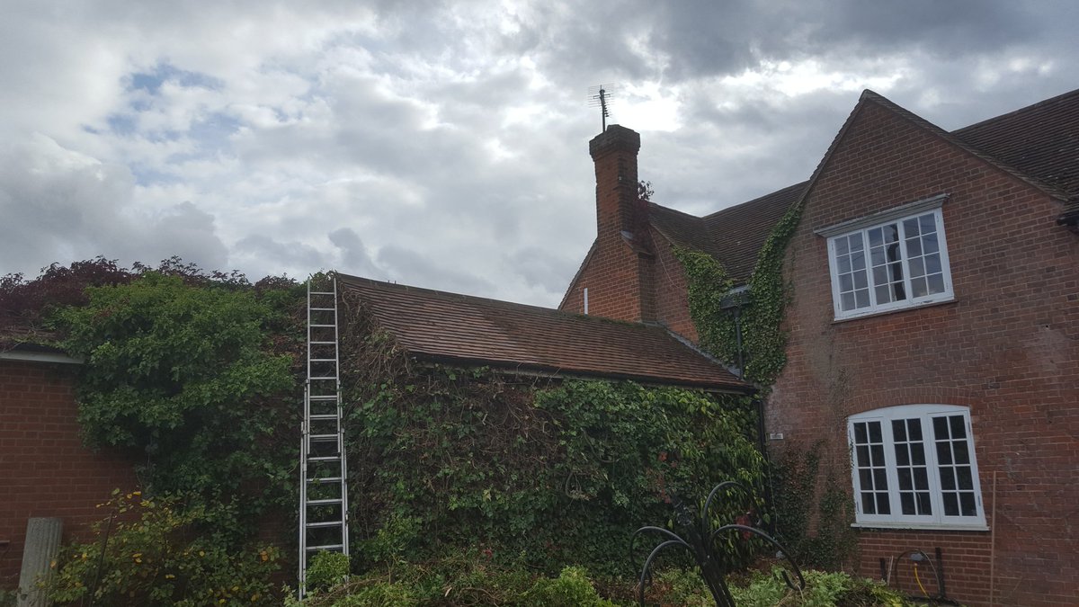 Before and after pics #ivyclearance #barrettlandscapes #tidygarden #gardening #ware #hertford