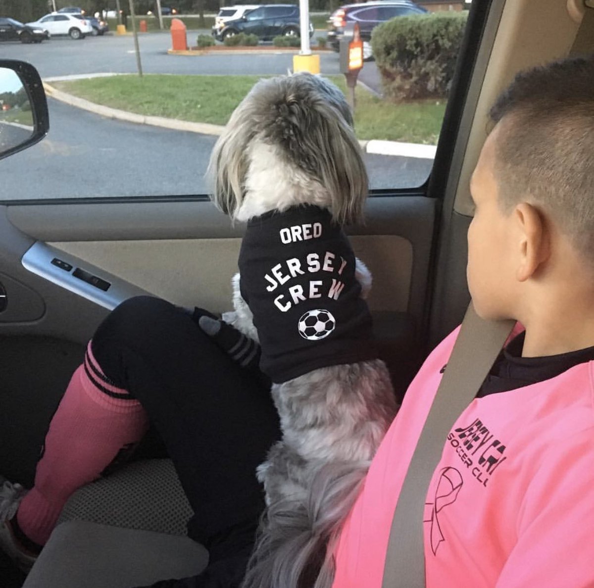 JerseyCrewSoccerClub tweet media