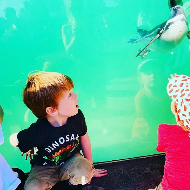 LemonsLosing's tweet photo. Had an amazing day at the zoo the other day for Teds birthday.

#differentnotless #autism #asd #asdfamily #autismo #disabilityisjustdifferent
.
.
.
.
#autism #asdfamily #autismacceptance#nuerodiversity #nuerodivergent #specialneeds ##differentisbeautiful… https://t.co/CdpuHkVsmR https://t.co/cYfJzwaTT3