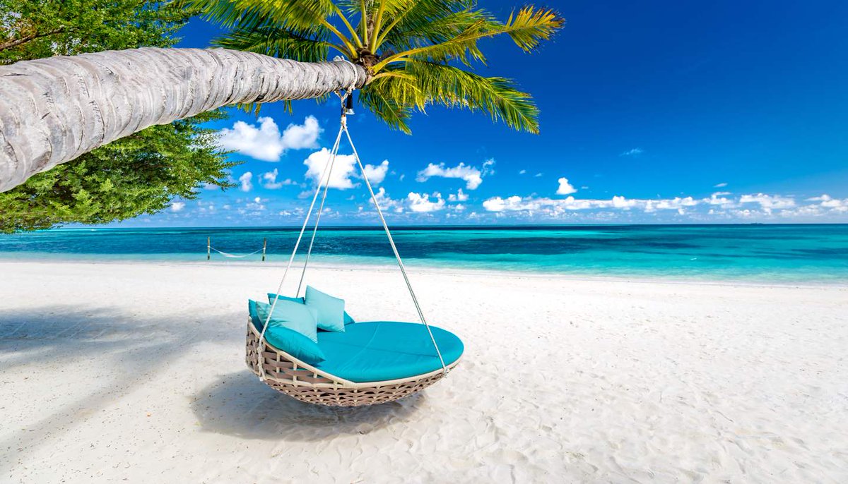 Sharing Tourism tweet media
