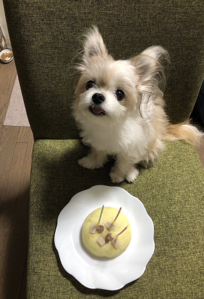 世界一可愛い Twitter Search