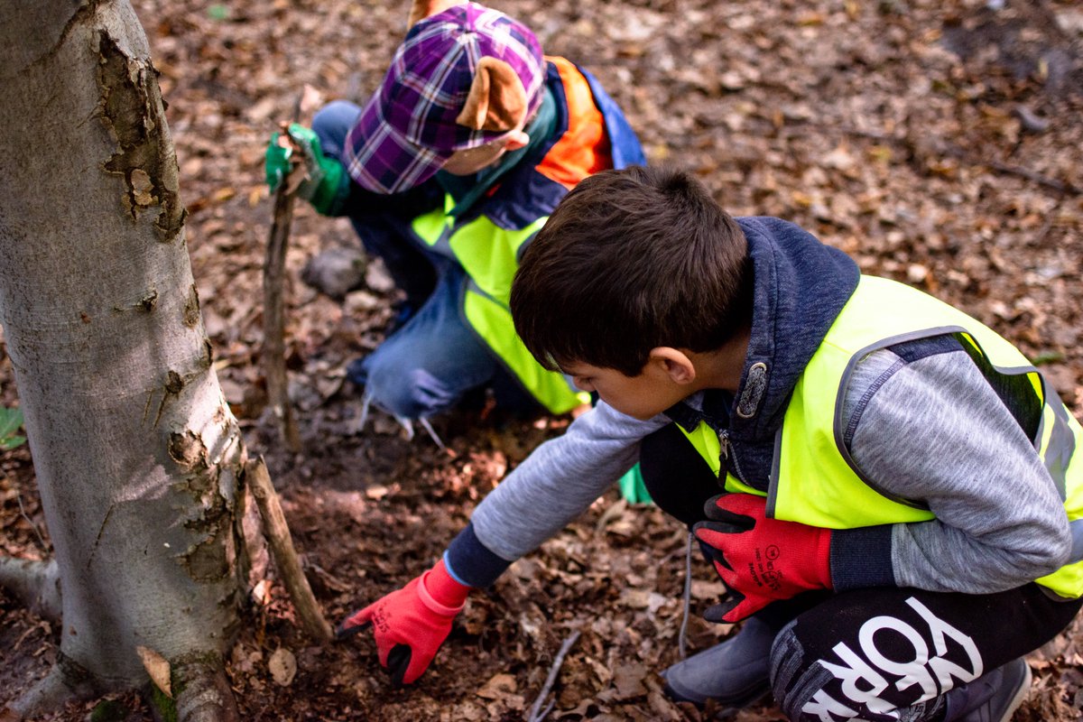 IsbFa's tweet photo. In connection with #WorldCleanupDay, #ECClearns students spent a day in the forest, clearing garbage &amp; growing nature appreciation. #ISBAnnualFund contributed transport &amp; equipment for a great #servicelearning project. #ISBlearns #ISBFAgreenteam @IntSchBrussels #InspireKidstoDo https://t.co/KBsL3f2Sya