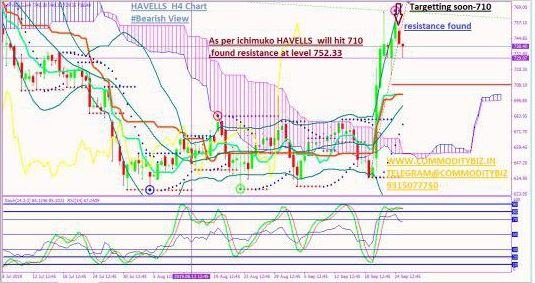 Havells Share Price History Chart