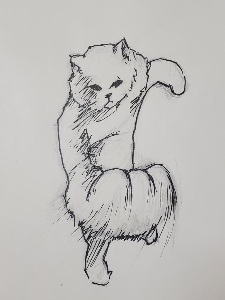 <a href="/225Kinaco/">あさちゃ</a> 外から失礼します。瞬間こんな感じに見えました。強い。