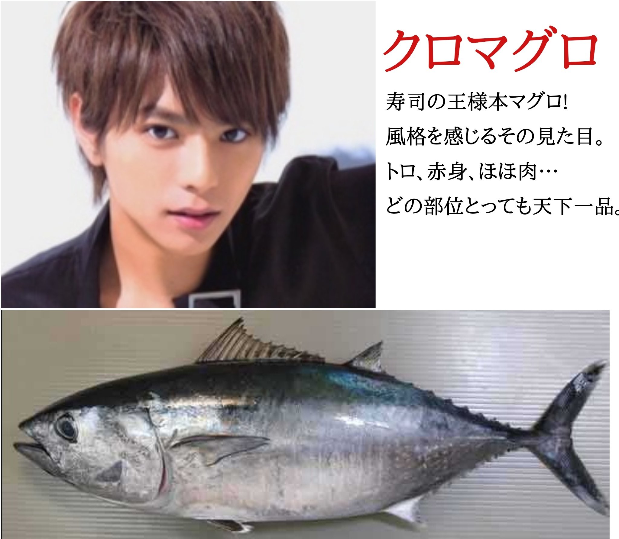 洗濯板 現役の魚屋が選ぶsexy魚zone 独断と偏見 けんしょりそうは青魚 赤身 ふうまりは白身のイメージです T Co Nus61sjdw0 Twitter