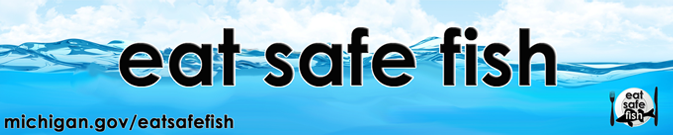 MichiganHHS's tweet photo. Do you #KnowYourFish? Let the #EatSafeFish guide help you choose fish that are lower in chemicals whether you're catching or buying them. Learn more at https://t.co/sf7VKeKD3Q. https://t.co/HCGp1tW8Gx