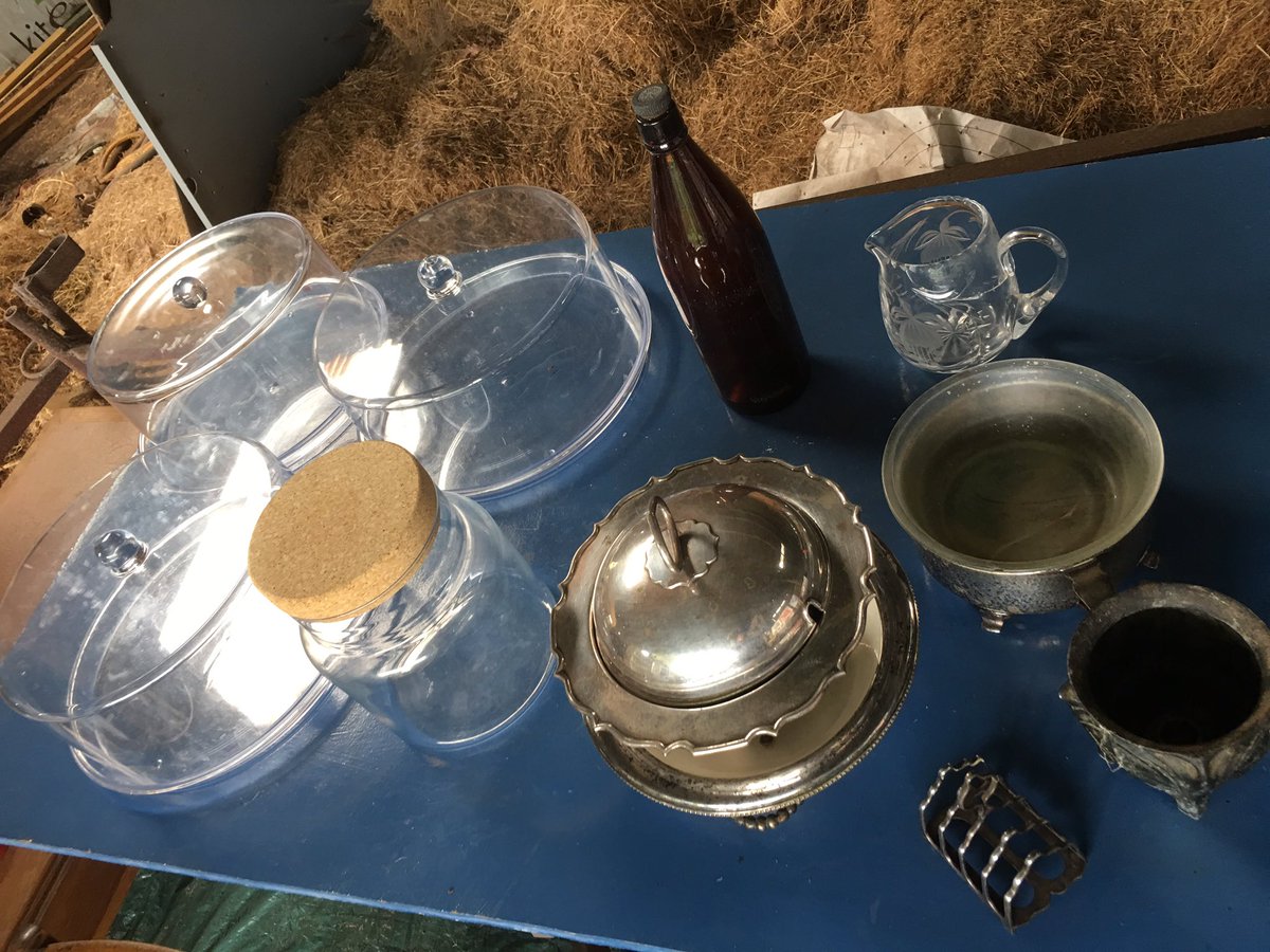 English Lavender tweet media