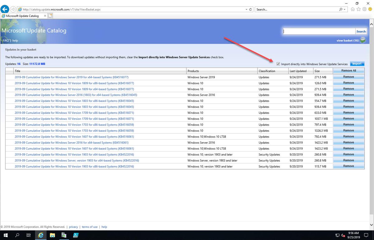 windows update catalog 10 1903 windows update catalog 10 1903