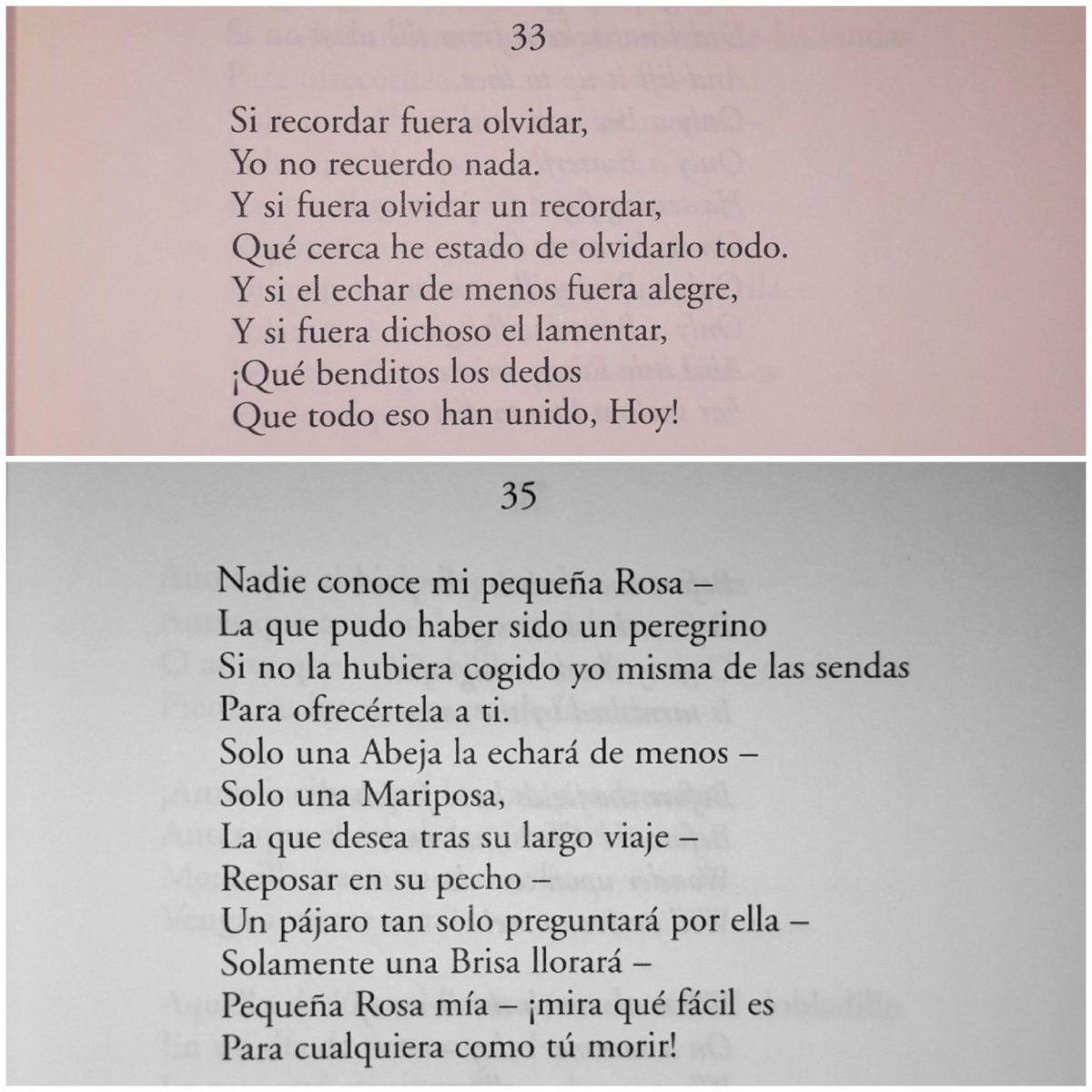 Las 440 mejores frases de amor para parejas, image size:1200x1200