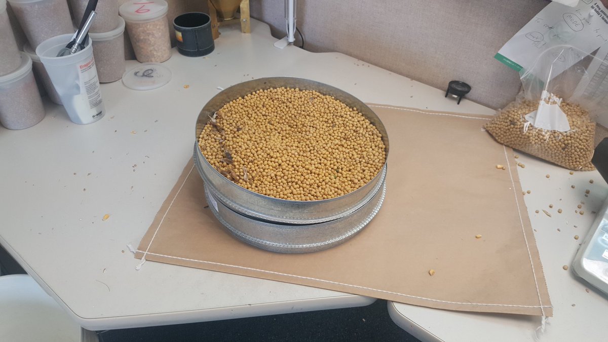 TheChadRecker's tweet photo. #harvest19 crush soys coming into Stoney Branch today.  10.8 %ms.  Majority of beans are still a ways away from harvest. https://t.co/JlGdInl71N