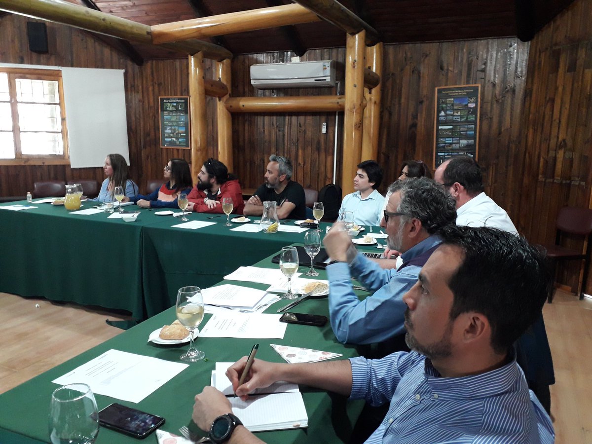 ChileTimber tweet media