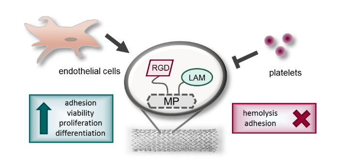 BioconjChem's tweet photo. Anchoring peptides present in extracellular matrix to #titanium #oxide surface through orthogonal click chemistry for enhanced #endothelialization https://t.co/lQxiR8RQwx https://t.co/JxluQfzUqS