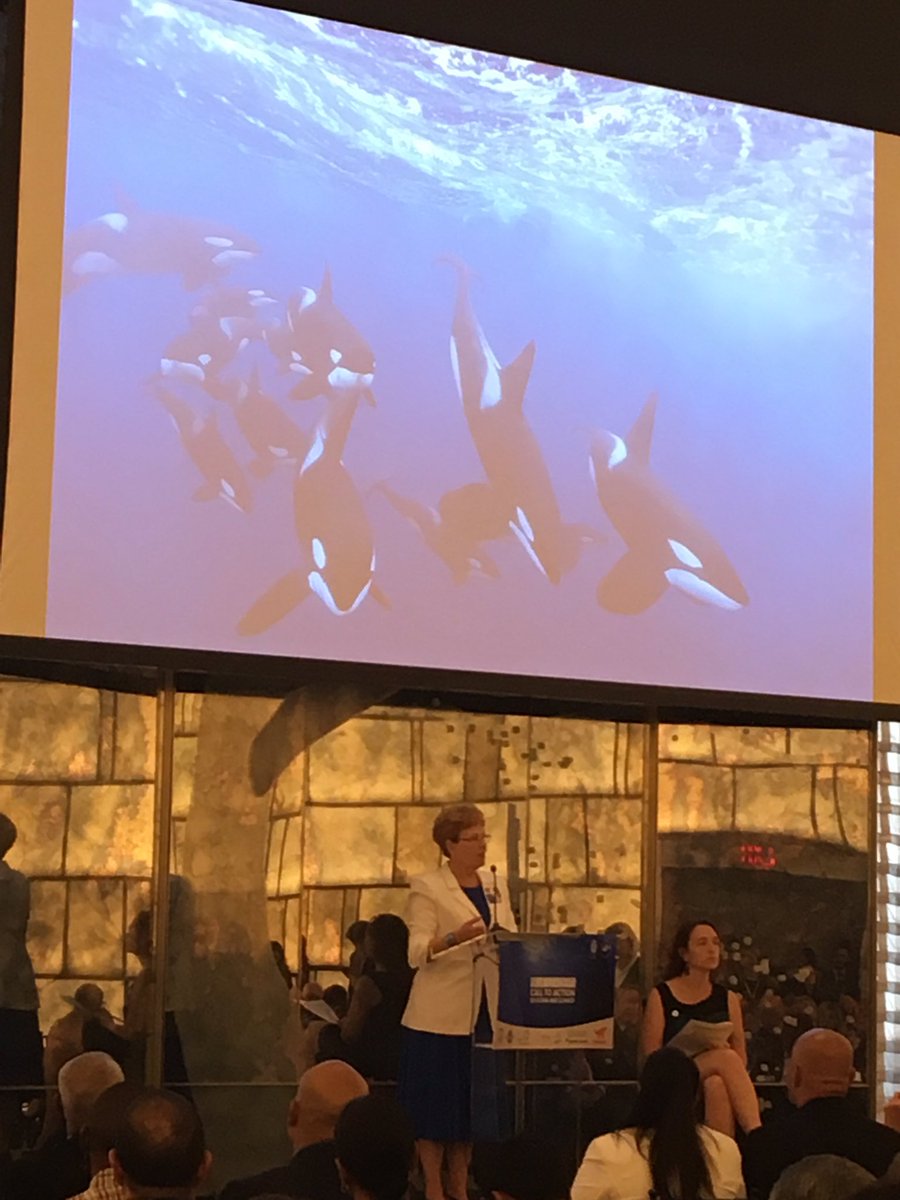 “We can no longer think about the ocean as a victim of climate change...but also as solution to climate change mitigation and adaptation” @JaneLubchenco at #BlueLeaders climate action event