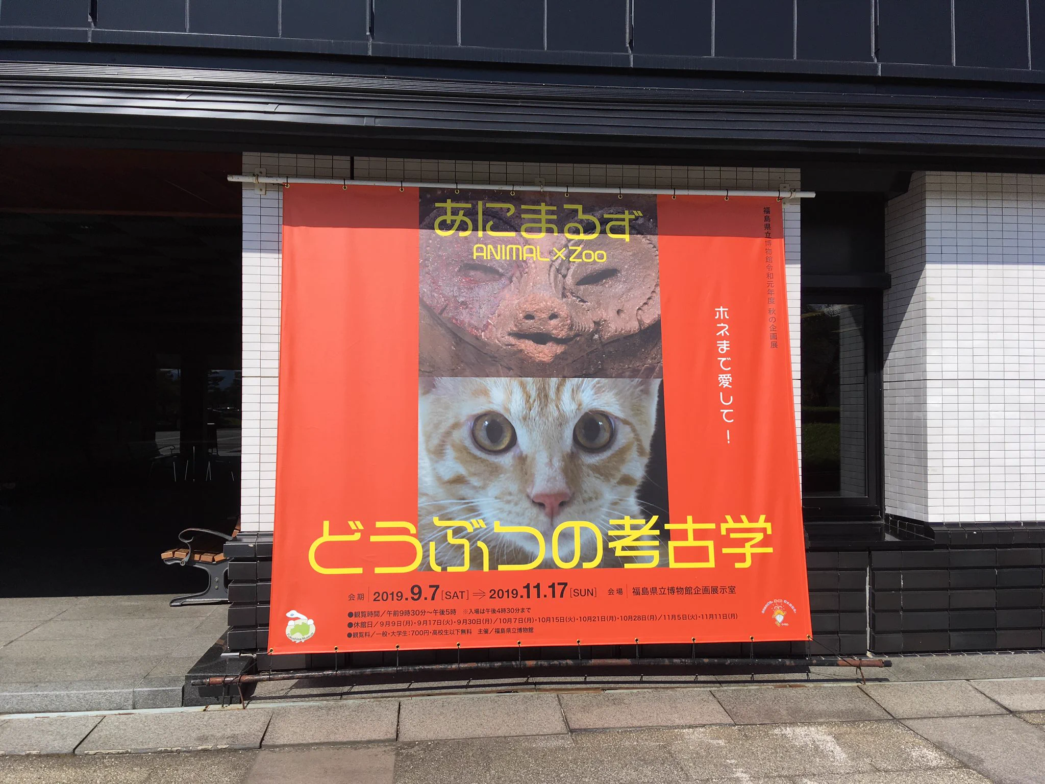 縄文時代の人にもこんな感性が？福島県立博物館に展示されている土製品に思わずほっこりwww