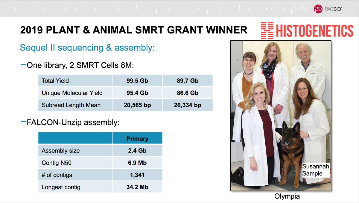 PacBio (@pacbio) on Twitter photo JK: Shares stats from #SMRTGrant winning project: german shepherd on Sequel II System by <a href="/histogenetics/">HistoGenetics</a>. Read more about the project: pacb.com/blog/german-sh… #PBUGM JK: Shares stats from #SMRTGrant winning project: german shepherd on Sequel II System by <a href="/histogenetics/">HistoGenetics</a>. Read more about the project: pacb.com/blog/german-sh… #PBUGM