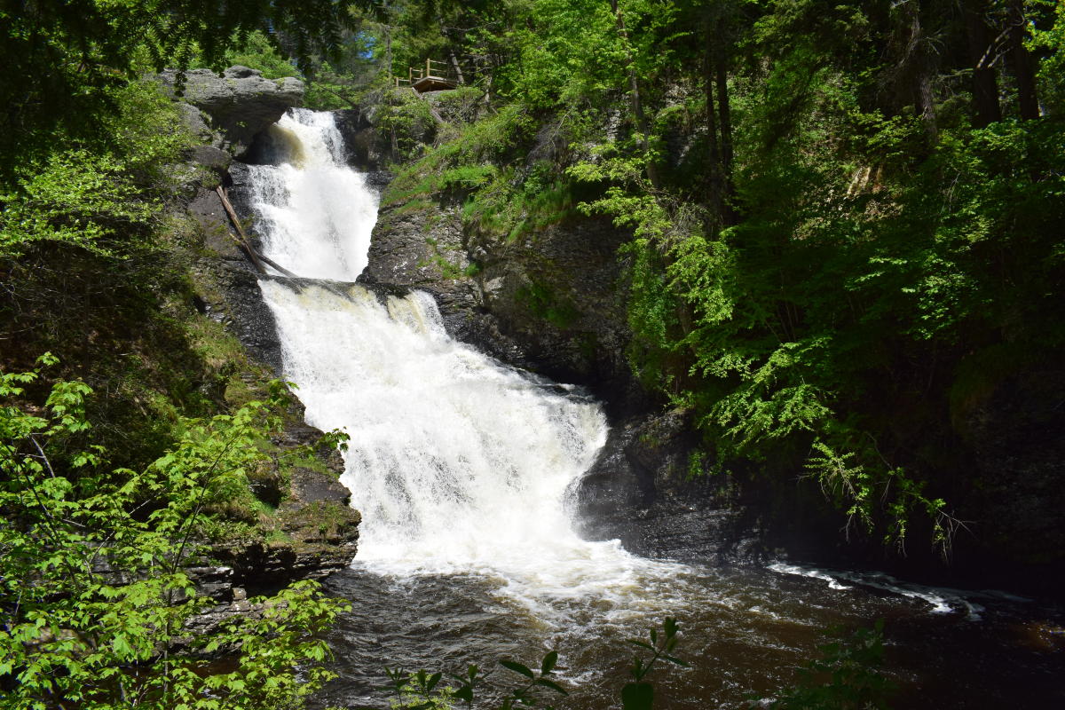 Choice_uwu's tweet photo. @_mymusictaste #ACEtheChallenge
Raymondskill Falls and Bushkill falls also know as the "the Niagara falls of pennsylvania" https://t.co/RjanxGDESY