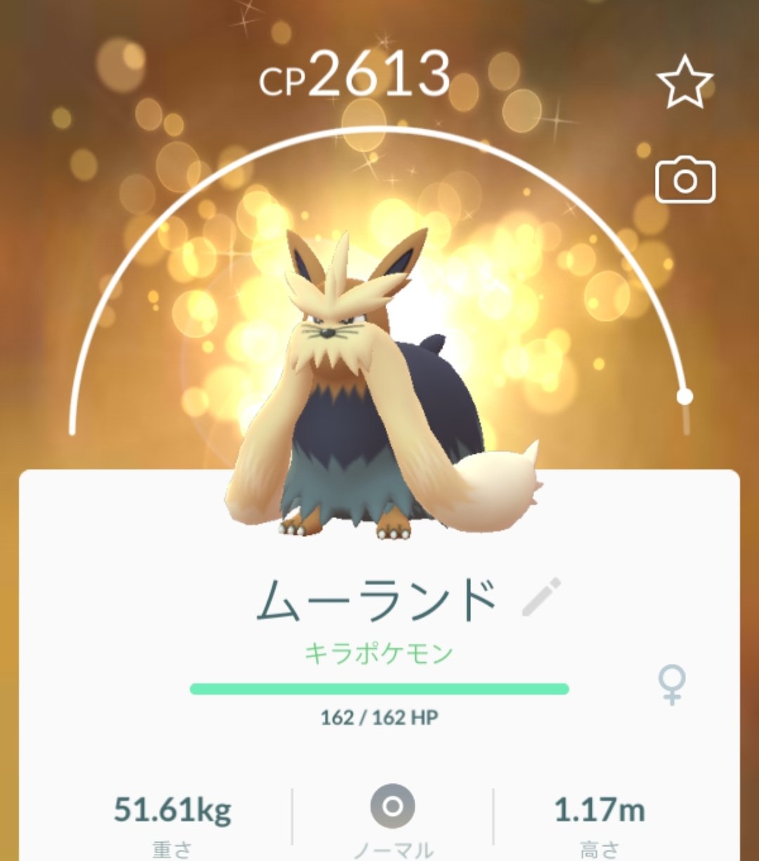 تويتر P Chan ポケモンgo على تويتر キラ ムーランドの出来上がり なかなかのcpで いい感じ おヒゲ長 ポケモンgo ムーランド キラポケ T Co Oxftzib9ku