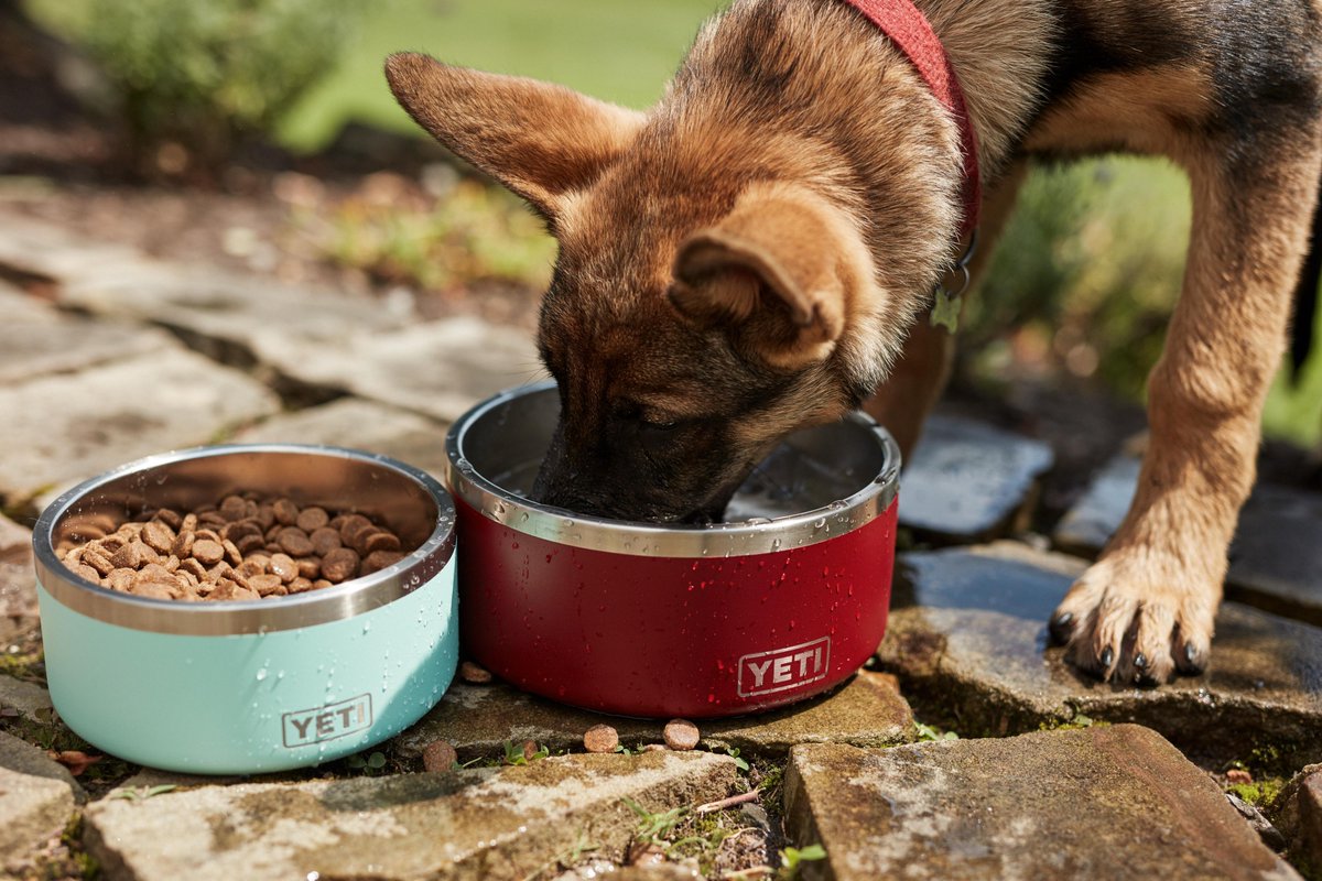 DICK'S Sporting Goods on X: Tiny dogs are barking in joy over the new YETI  dog bowls- now in smaller sizes.    / X