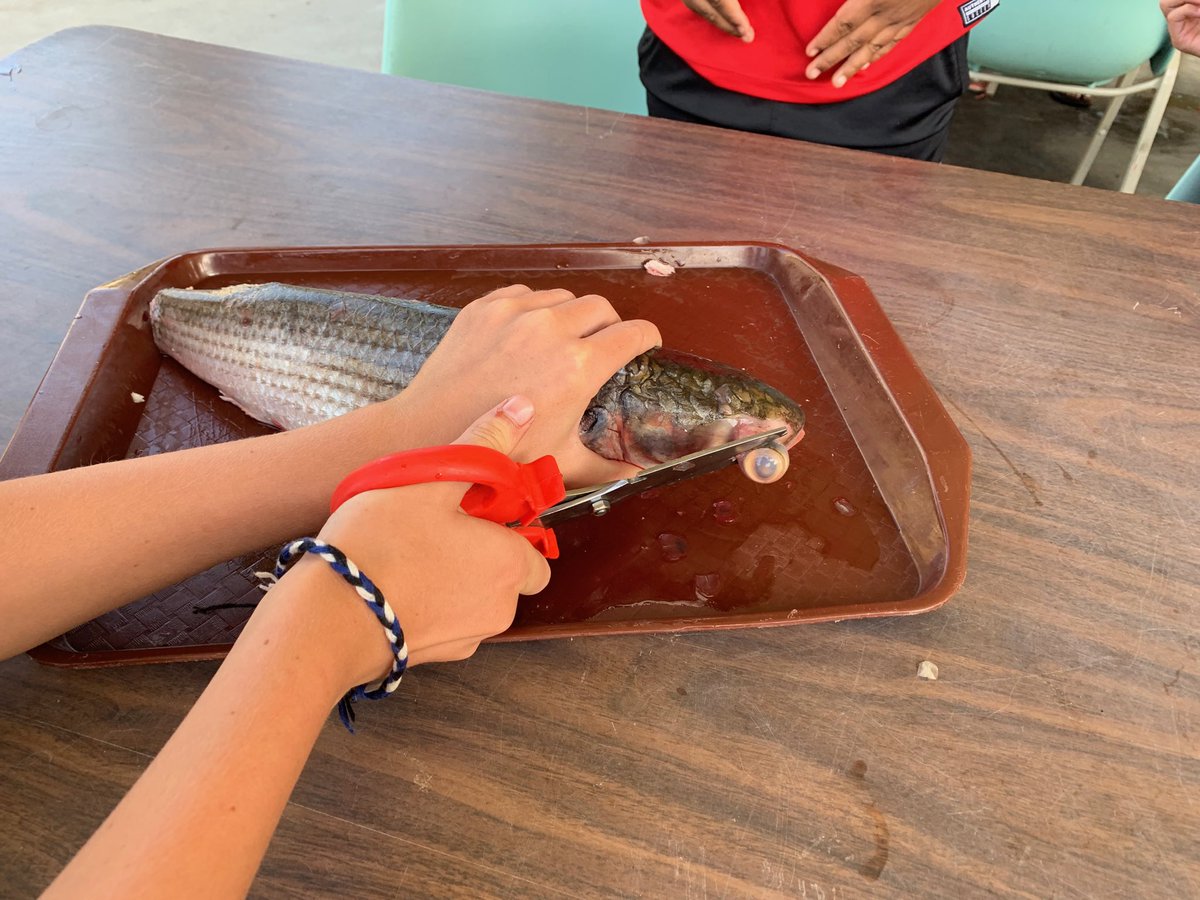 I have my eye on you! #trinityoe