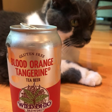 wildohiobrewing's tweet photo. We’re feline fine, it’s tea beer time.
#LetsGetWild #wildohio #boozytea #cheers #bloodorange #cat #glutenfree 🐱🍵🍺 https://t.co/rzX40y884T