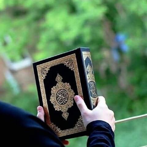 🦋🦋صفاء🦋🦋 القلوب💕 tweet media
