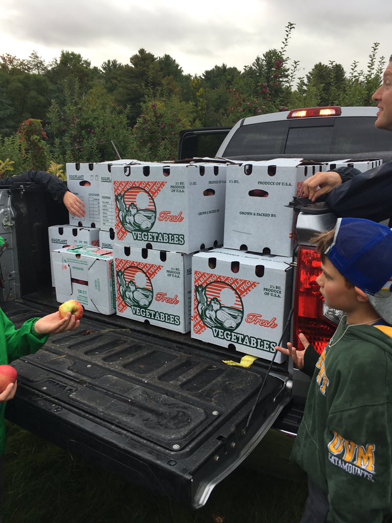 MCS3VT's tweet image. Picking for a Purpose; Gleaning Apples for the VT Food Bank #collaboration #caring #SDGzerohunger @MCS3VT @MaterChristiVT