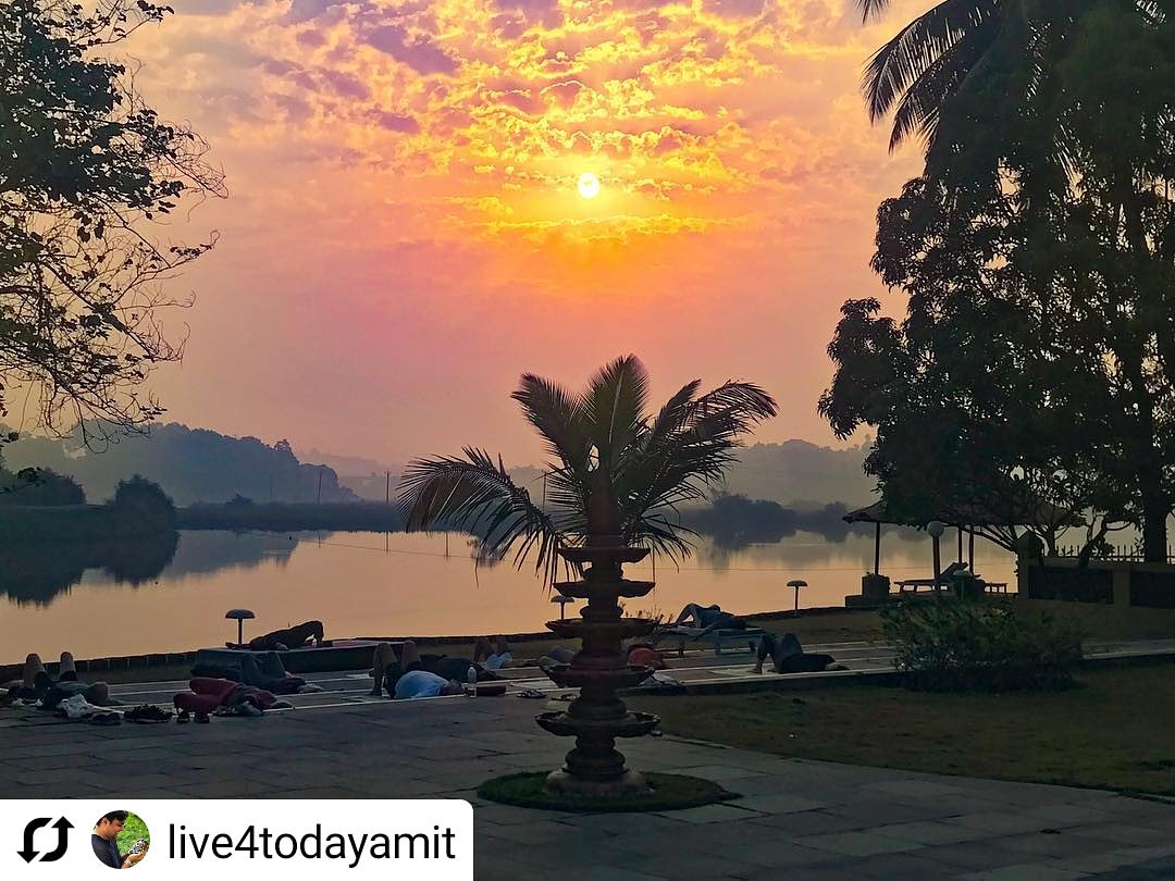 devaaya_ayurved's tweet photo. Sunset is that time of the day, when you catch the glimpse of beautiful nature by the bay! 
Picture this Colorful sky, chirping birds and Yoga alongside the majestic Mandovi river at #Devaaya.

 #mercuregoadevaaya  #meditation #ayurveda #sunset #yoga 

#Repost @live4todayamit https://t.co/QoRYSIUYuI