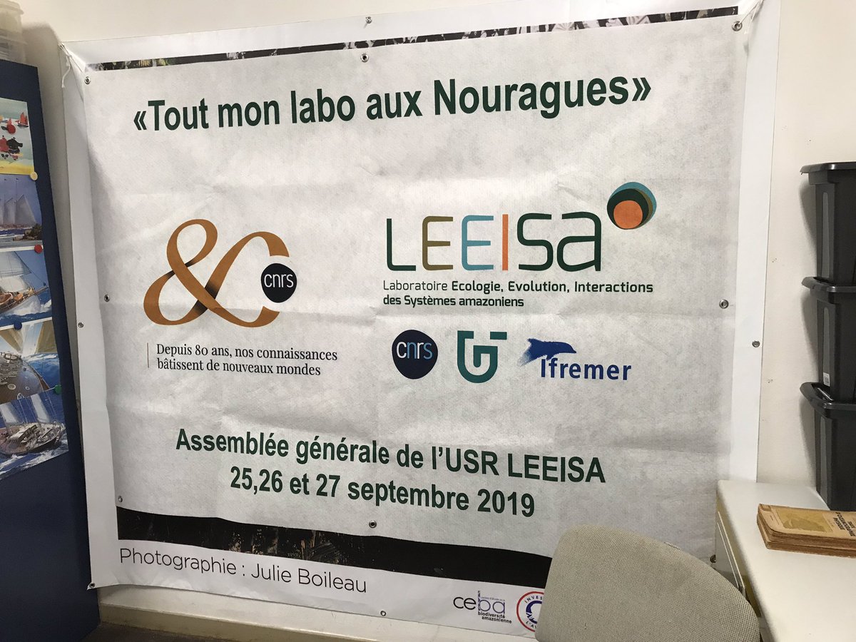 GaelleFornet's tweet photo. 352kg de #LEEISA : équipage à la pesée avant le départ aux #Nouragues pour l’AG du labo #80ansCNRS #Guyane https://t.co/JYDnXs4F5f et https://t.co/FRcOzdI3Nv @INEE_CNRS @univguyane @Ifremer_fr @RNNouragues https://t.co/p21DoonjPp