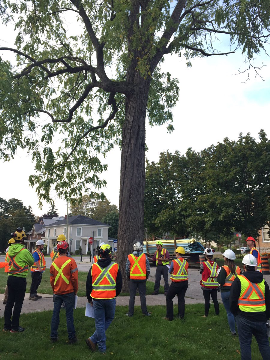 DendronForestry's tweet photo. Happy #NationalTreeDay 🌲 🌳! Spending lots of time looking at trees today at the #ISA Tree Assessment Qualification (TRAQ) course. https://t.co/a2TVw7WFlL