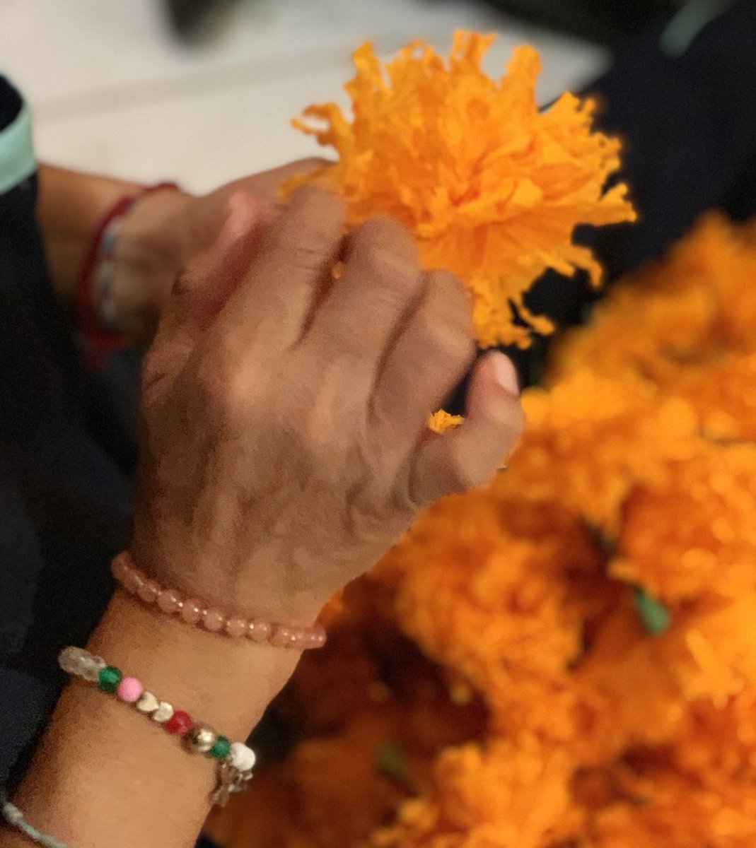 elolmedo_mx's tweet photo. ¡Falta muy poco para que abra nuestra ofrenda 💀 y seguimos trabajando en los detalles! ¡Pronto les contaremos más sobre la temática! https://t.co/88ddxPYRLL