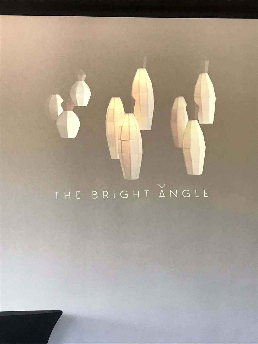PitchBfastAVL's tweet photo. Happy to see Nick Moen of The Bright Angle pitch this morning! Entering the lighting market with this stunning work. https://t.co/exJA6ICtYr