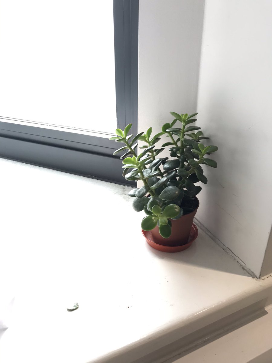 BristolCardioNomics tweet media