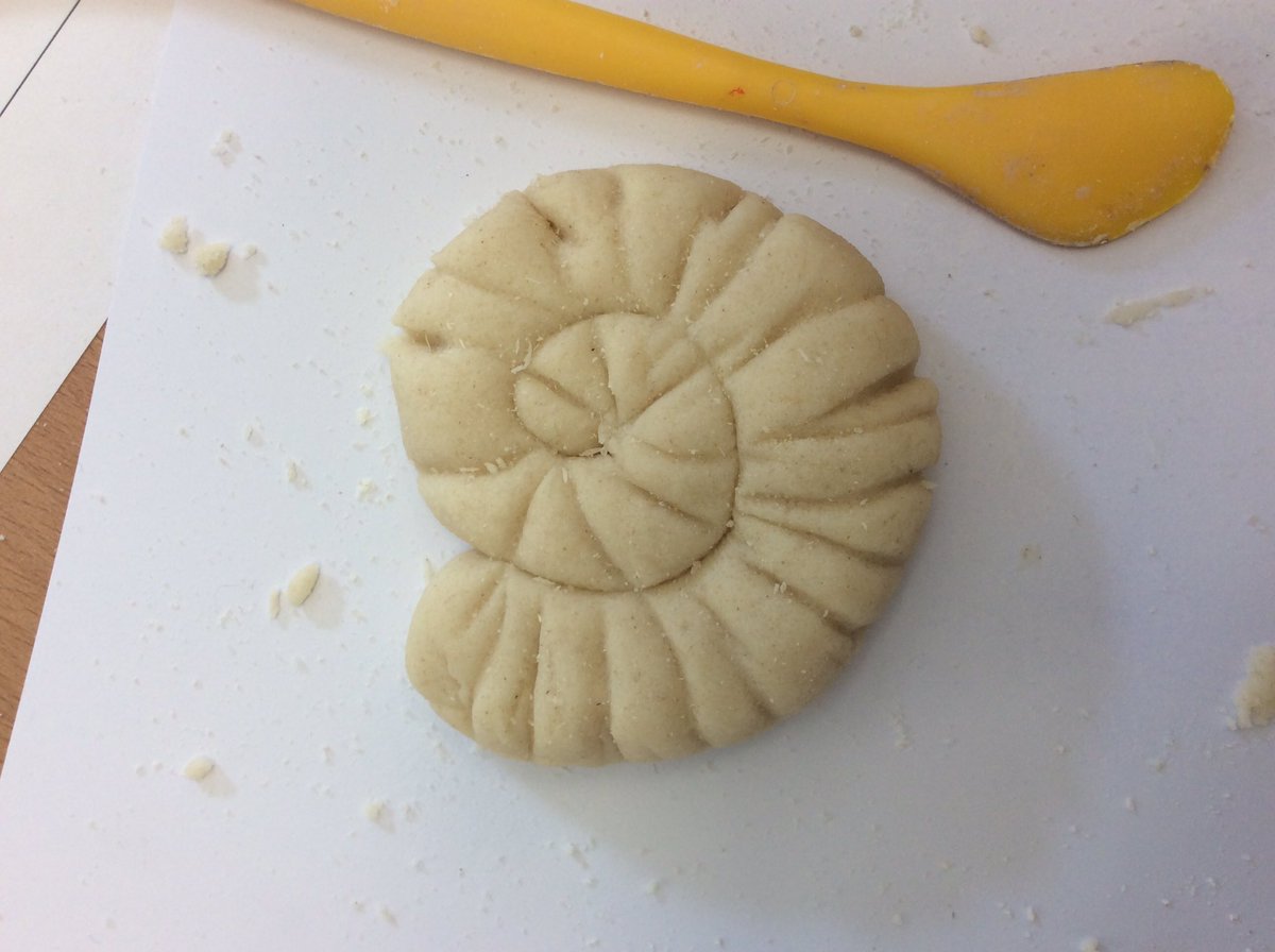 CosgrovePrimary's tweet image. After learning about the fossilisation process yesterday, Terra Class have made observational drawings of real fossils and then used a variety of different tools to sculpt fossils from salt dough! #terraclass #cosgroveprimary #fantasticfossils