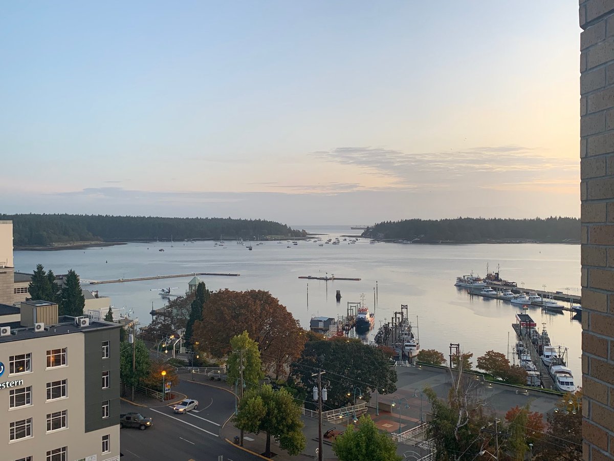 My view this am...in Nanaimo to present at the University of Vancouver Island with an amazing group of dedicated community partners.  ⁦<a href="/witsprograms/">WITS Programs</a>⁩ ⁦@pdgmate⁩ ⁦<a href="/BCRCMP/">BCRCMP</a>⁩ ⁦<a href="/CamoFridays/">#camofridays</a>⁩ #HealthAndWellness #youth #healthyrelationships #community