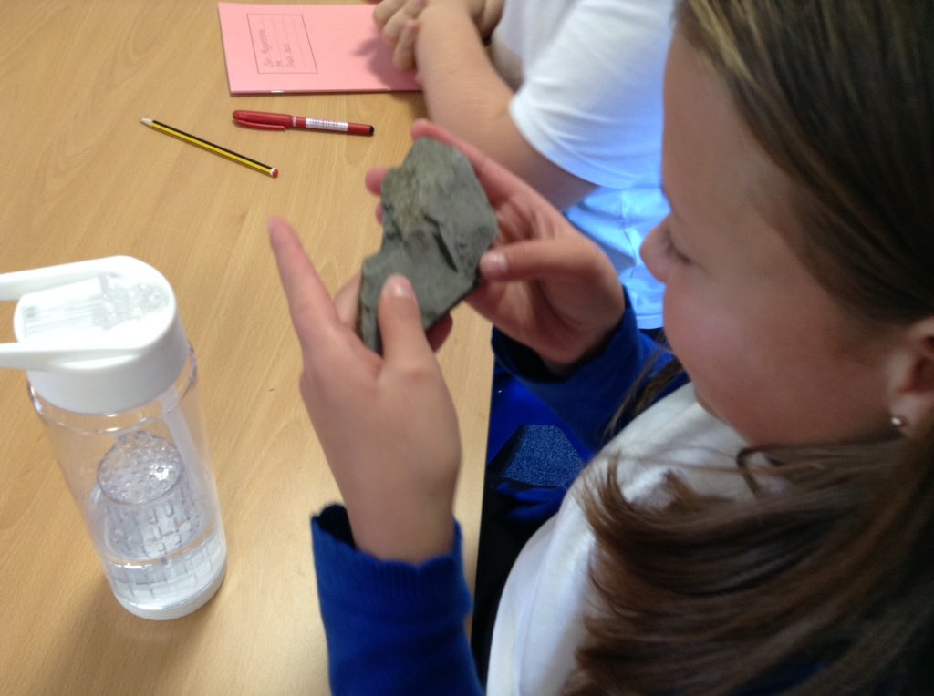 latimerprimary's tweet image. Year 6 have had a fantastic afternoon learning about the famous fossil hunter Mary Anning and and discussing what animals might have made different types of fossils #LatimerScience #ClassBL #ClassAM