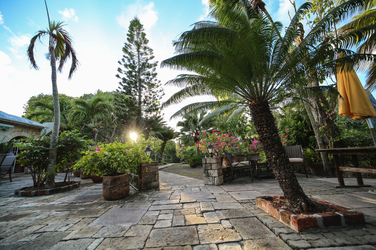 GreatHouseANT's tweet photo. @_LoveCaribbean A5: We hope to become a green globe certified hotel as we grow. Curtain Bluff and Hermitage Bay are two Green Globe Certified Hotels in Antigua, and we plan to follow in their footsteps soon #lovecaribbean https://t.co/q6xUBgFU8k